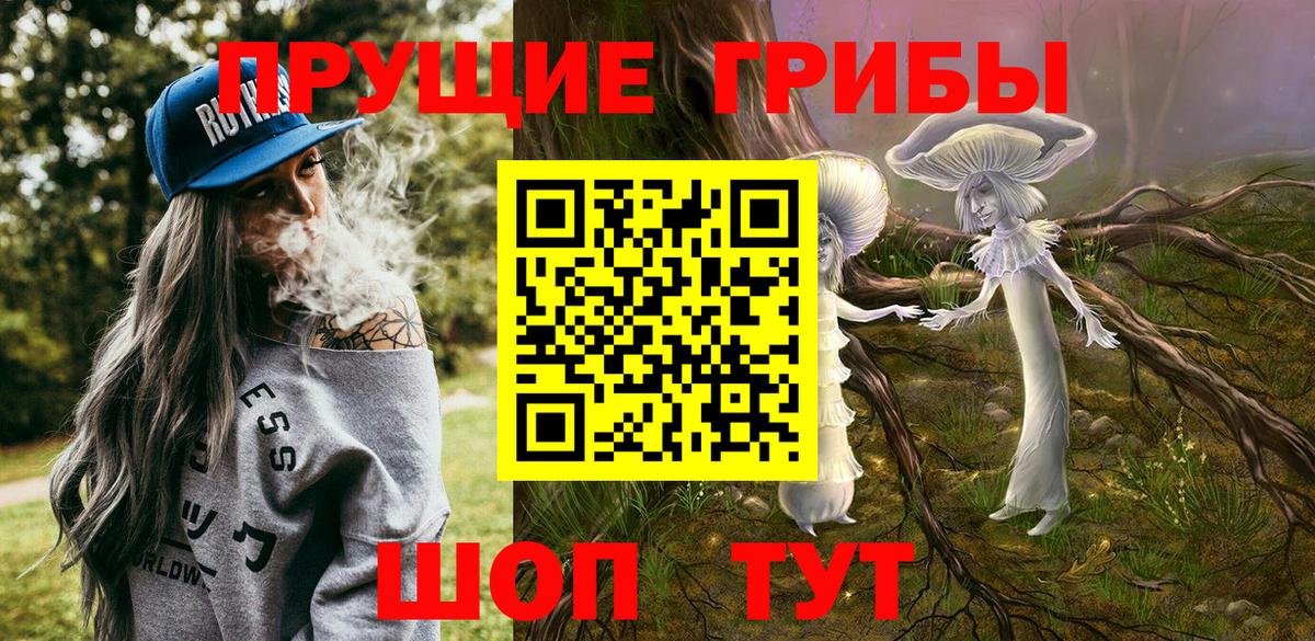 Псилоцибиновые грибы Psilocybe Выборг