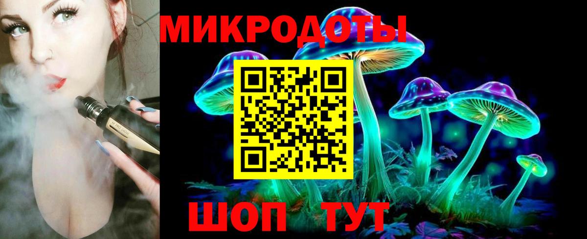 Выборг  Галлюциногенные грибы прущие грибы  Вход с VPN 